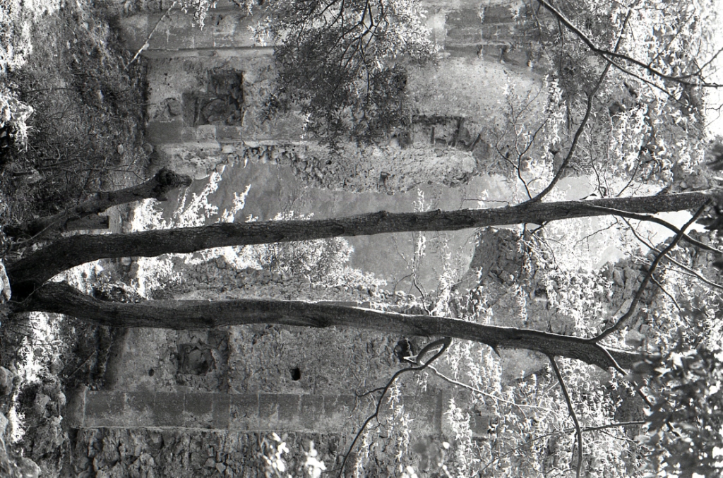 "Progetto Fotografico: Momenti Paralleli"